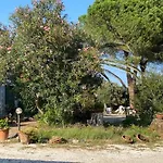 Isola D'elba - Portello - Magnetite - La Casina リオ・マリーナ