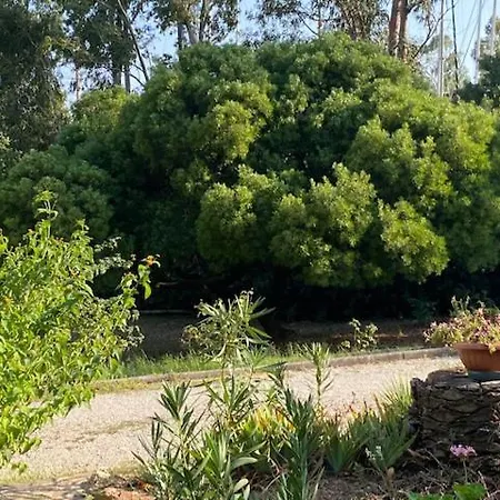 Isola D'elba - Portello - Magnetite - La Casina בית נופש *