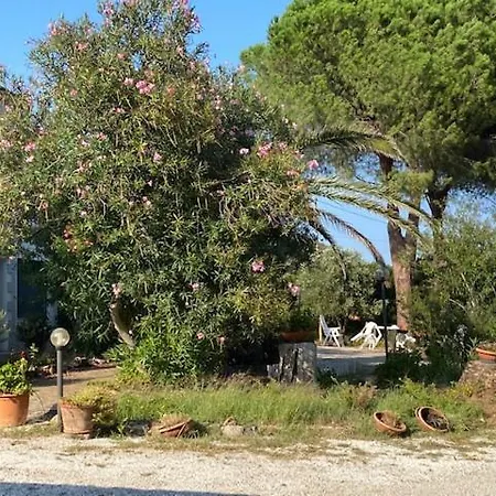 Isola D'elba - Portello - Magnetite - La Casina Rio Marina