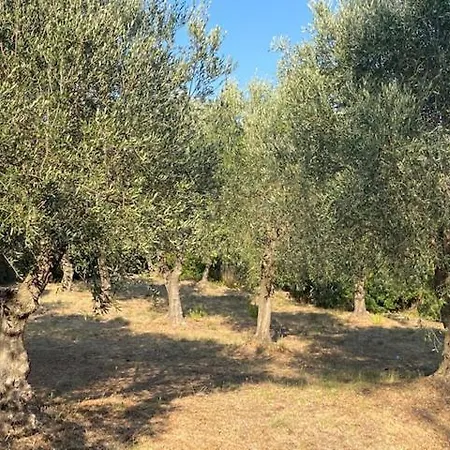 Isola D'elba - Portello - Magnetite - La Casina Σπίτι διακοπών Rio Marina
