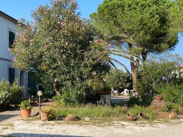 Isola D'elba - Portello - Magnetite - La Casina Rio Marina